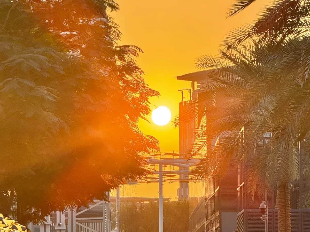 COP28 in Dubai π¦πͺ