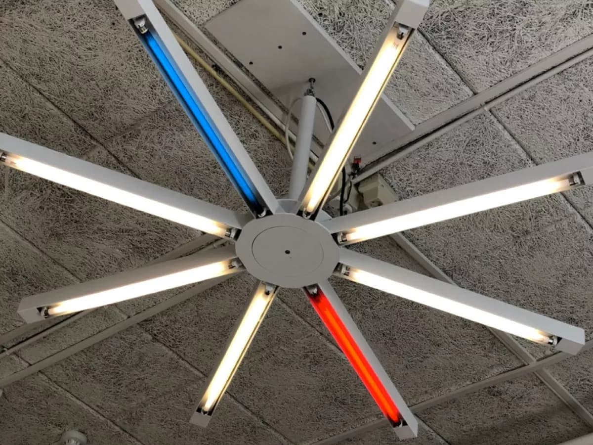 My THNK Experience (2012-2024) π³π±